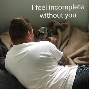 Meet your Posher, Will